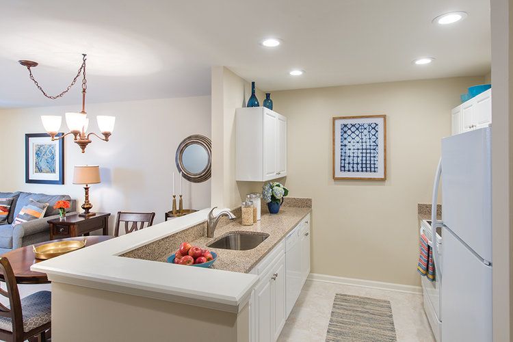 Updated ANN'S CHOICE 2020 Details Seniorly