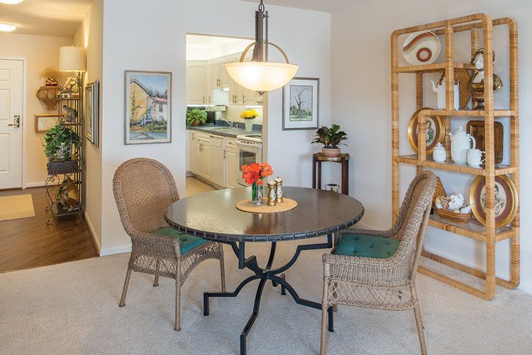 Updated ANN'S CHOICE 2020 Details Seniorly