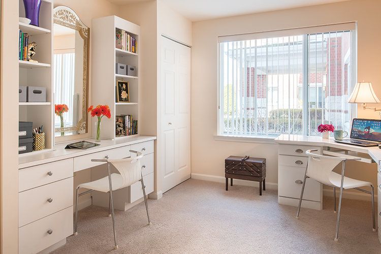 Updated ANN'S CHOICE 2020 Details Seniorly