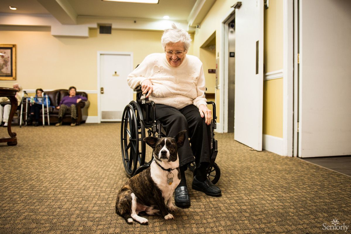 Landmark Villa Senior Residential & Assisted Living Pricing, Photos