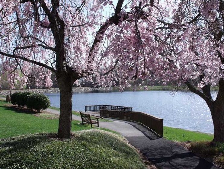 Updated THE FAIRFAX AT BELVOIR WOODS 2020 Details Seniorly