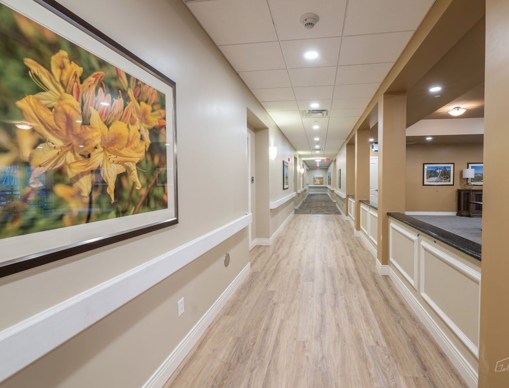 Harmony at Pricing, Photos and Floor Plans in