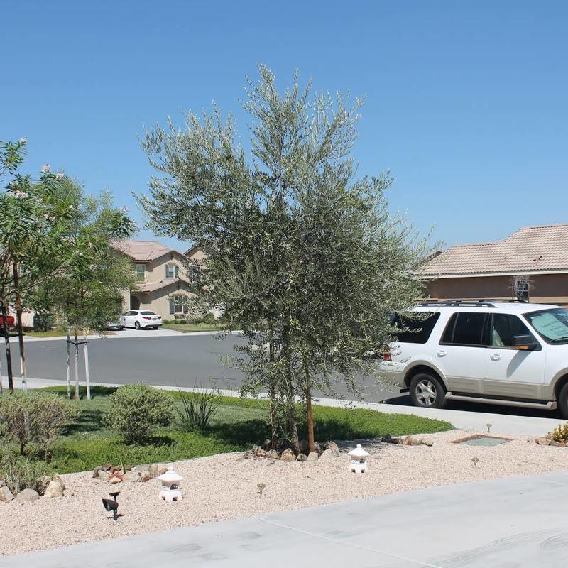 Monument Park Manor Pricing, Photos and Floor Plans in Perris, CA Seniorly