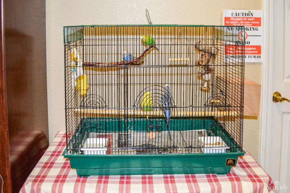 home care in san mateo ca