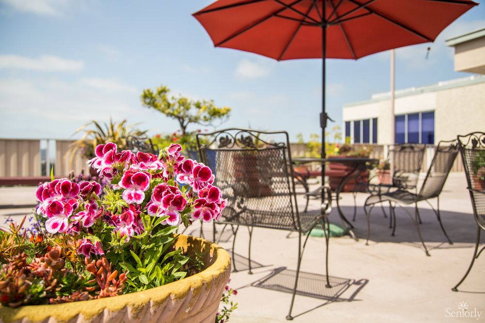 Piedmont Gardens Pricing, Photos and Floor Plans in Oakland, CA